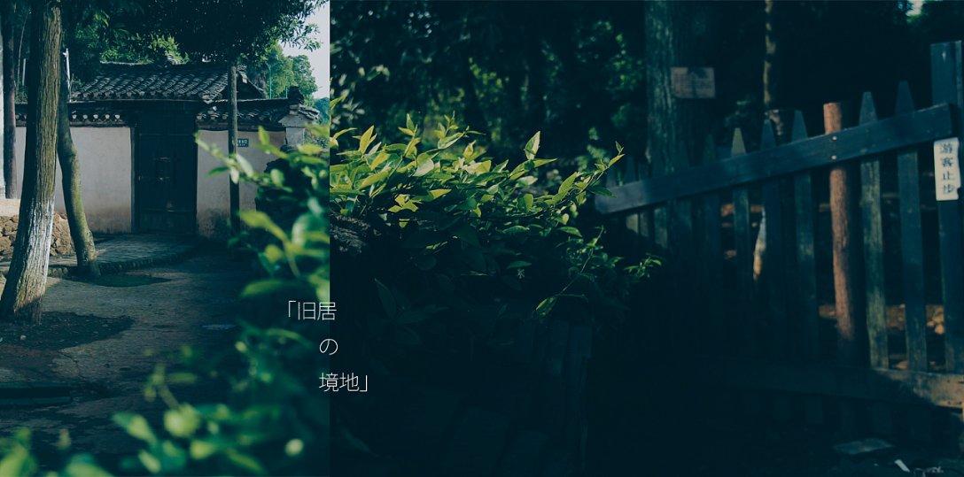 创作猫